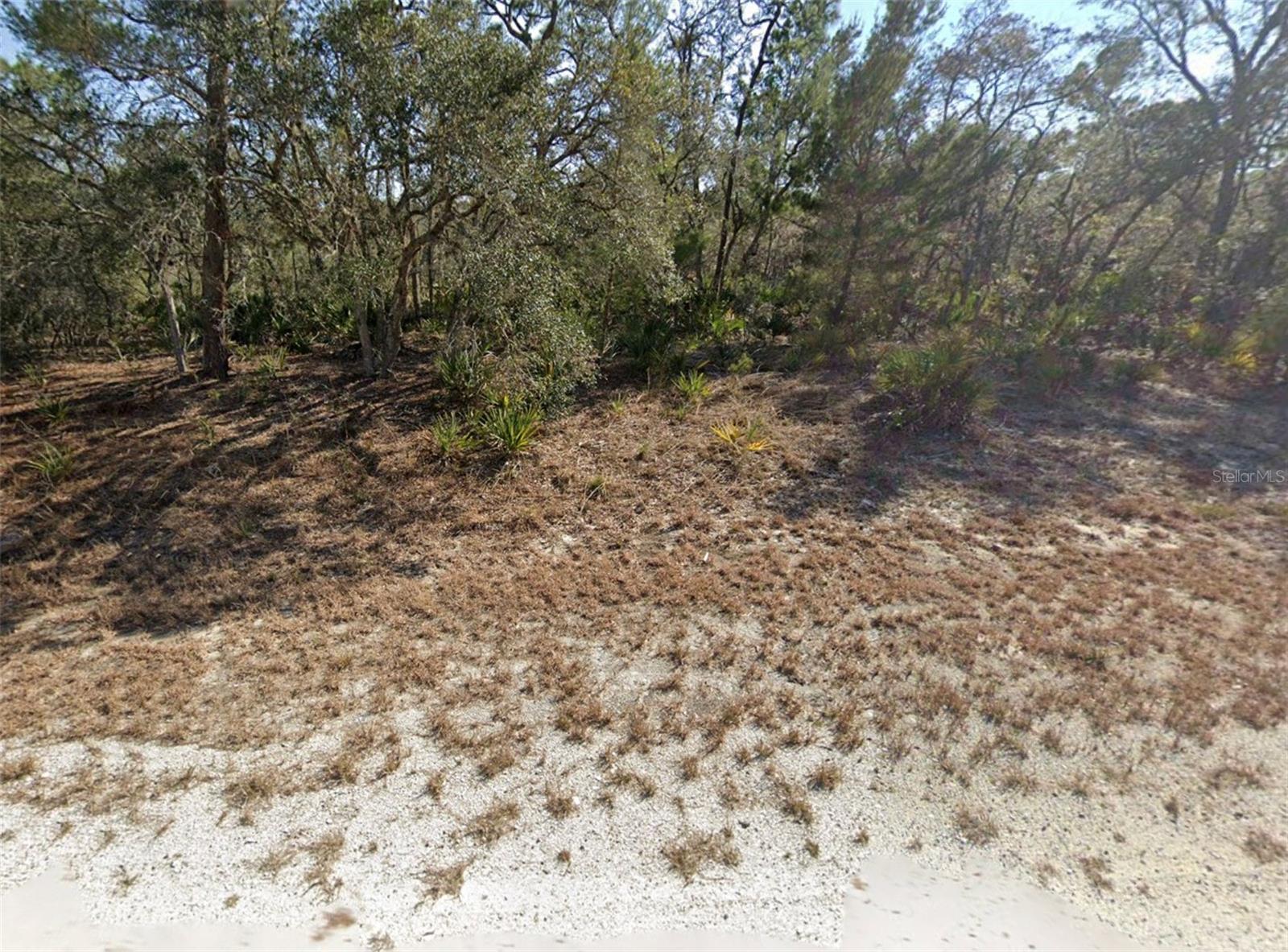 3218 GOSSAMER AVE, LAKE PLACID, FL, 33852