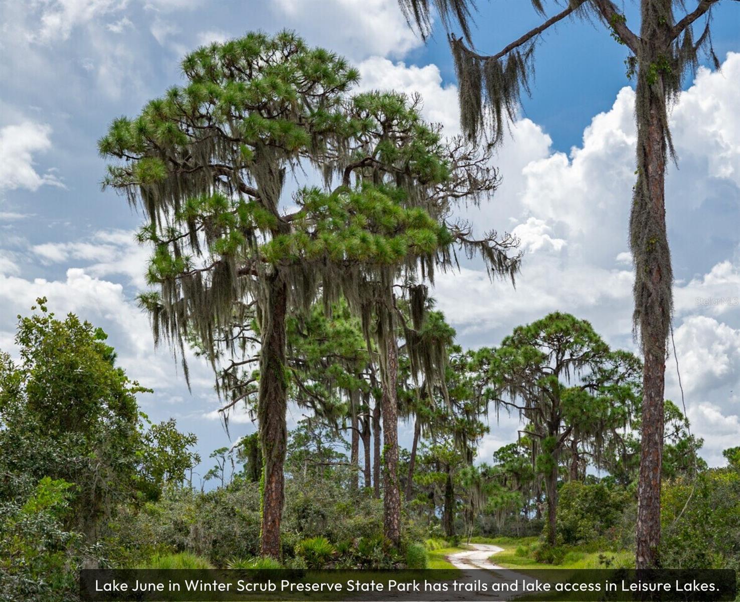 3218 GOSSAMER AVE, LAKE PLACID, FL, 33852
