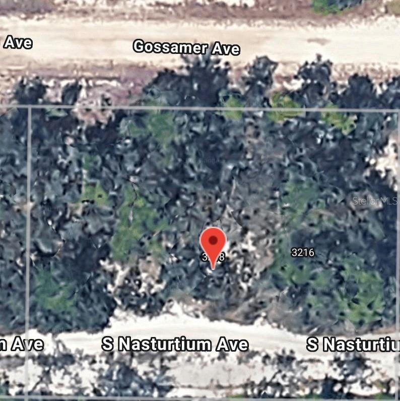 3218 GOSSAMER AVE, LAKE PLACID, FL, 33852