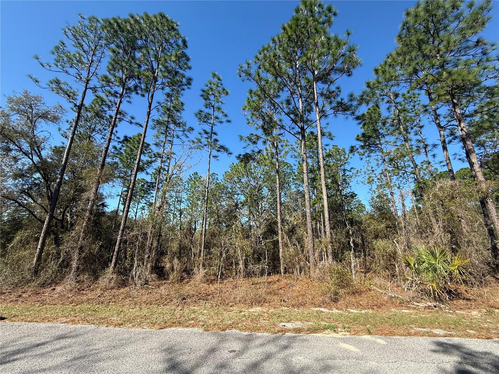 Lot 13 SE 129 CT, DUNNELLON, FL, 34431