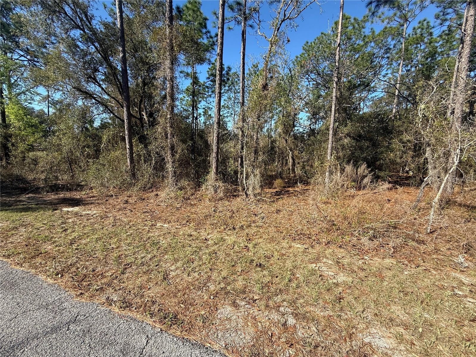 Lot 13 SE 129 CT, DUNNELLON, FL, 34431