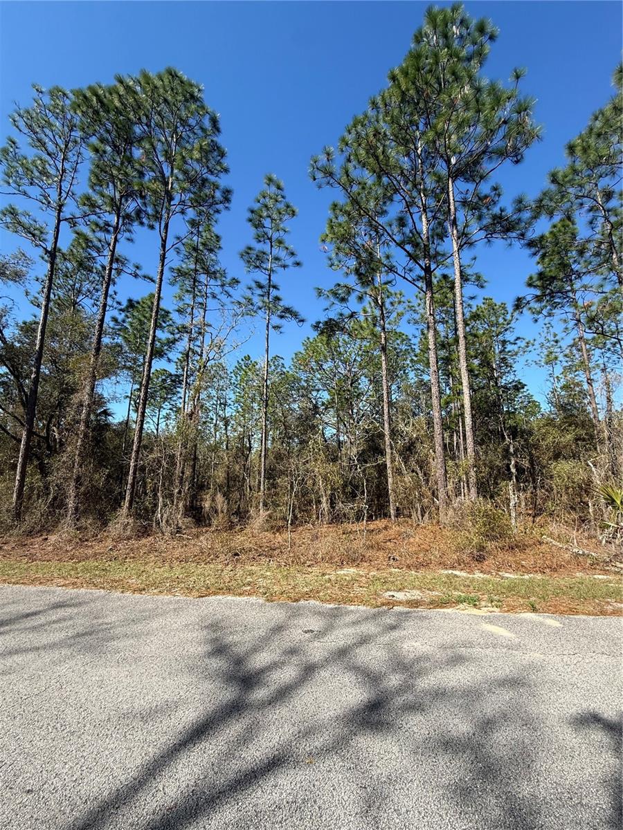 Lot 13 SE 129 CT, DUNNELLON, FL, 34431