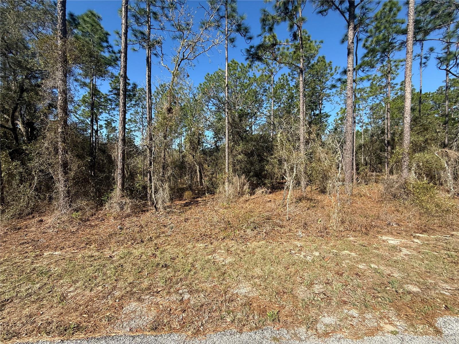 Lot 13 SE 129 CT, DUNNELLON, FL, 34431