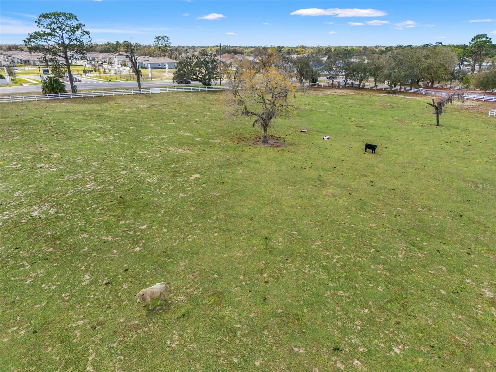 0 GLOUCESTER RD, BROOKSVILLE, FL, 34604