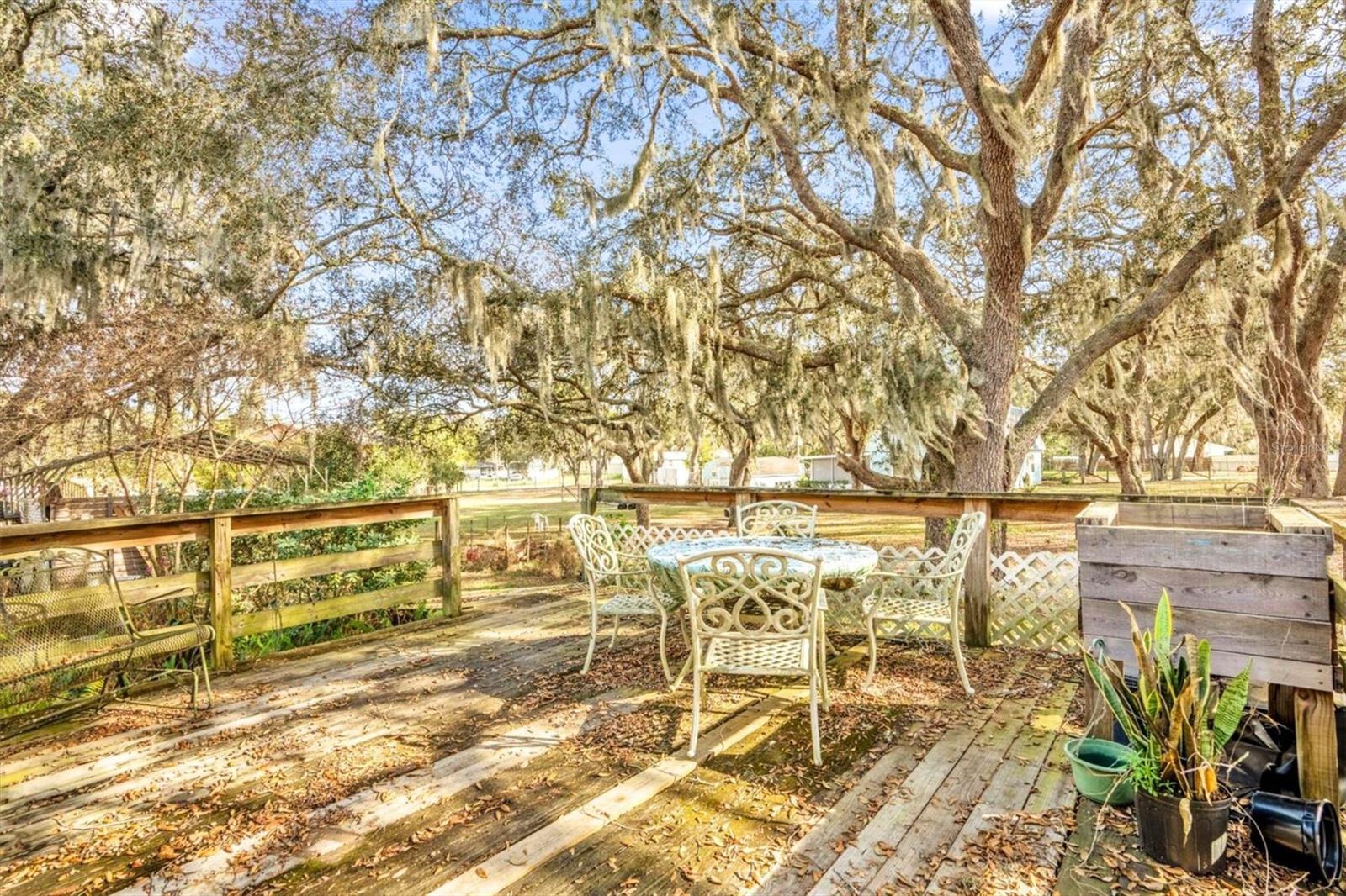 40212 GRAYS AIRPORT RD, LADY LAKE, FL, 32159