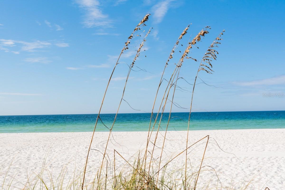 2312 GULF DR N #103, BRADENTON BEACH, FL, 34217