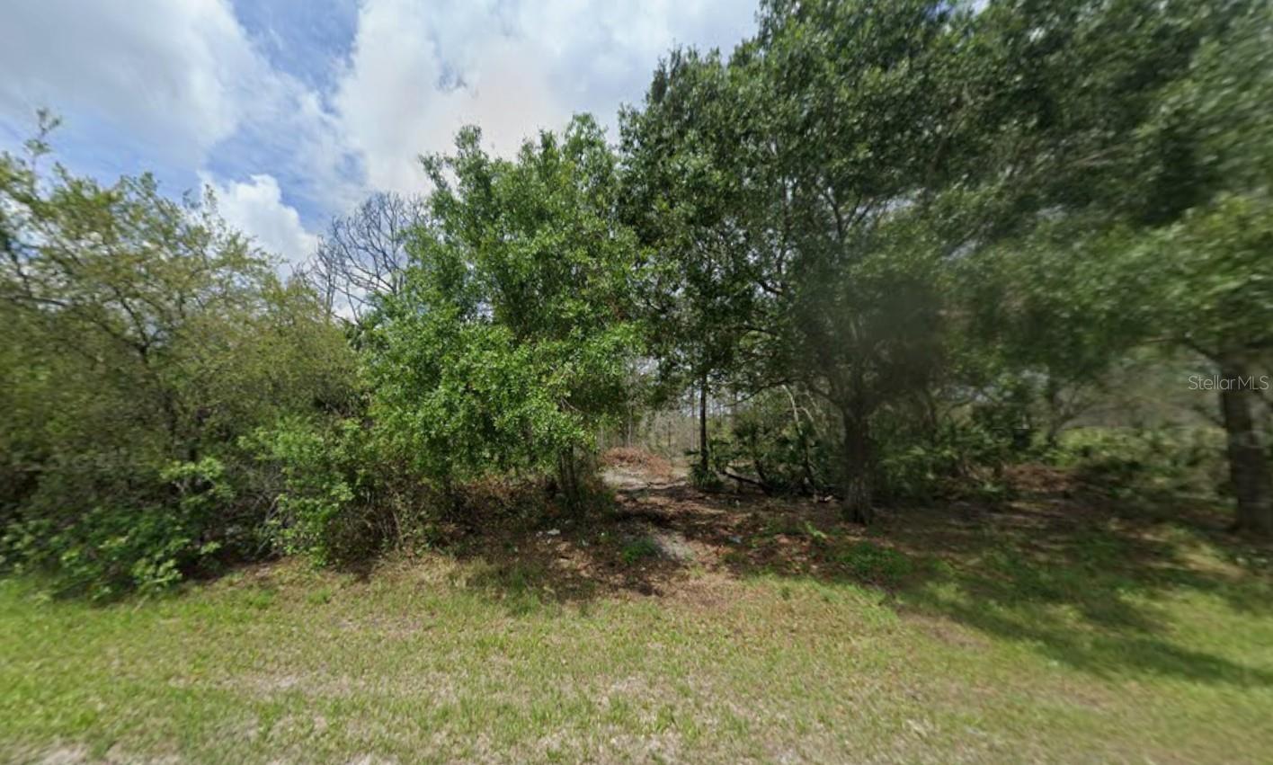 869 APPALOOSA AVE, CLEWISTON, FL, 33440