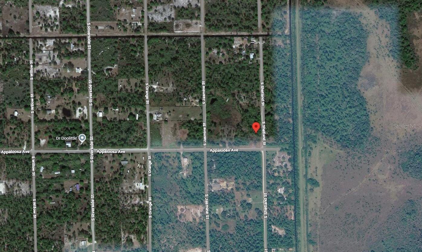 869 APPALOOSA AVE, CLEWISTON, FL, 33440