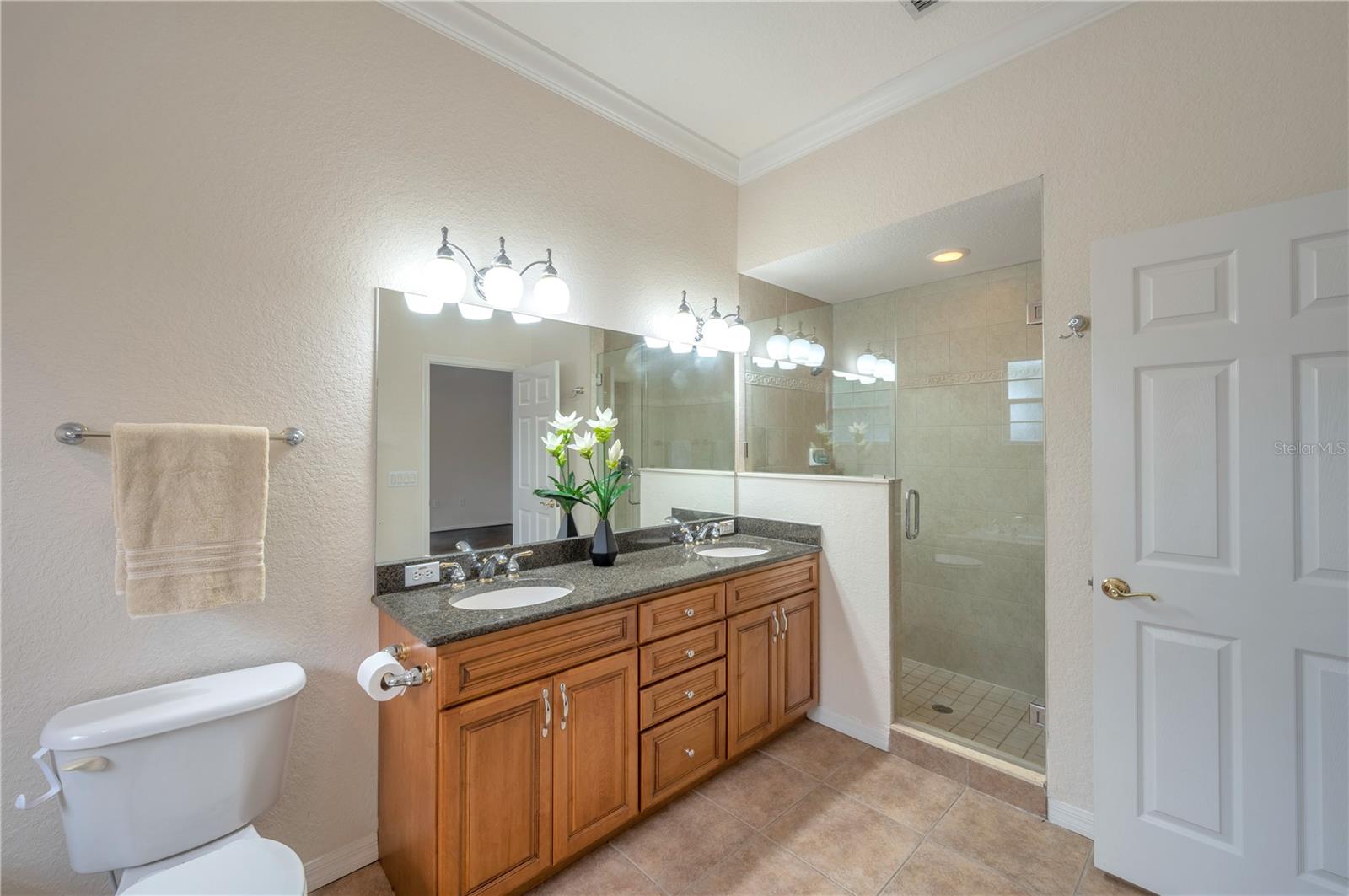 9719 TAYLOR ROSE LN, SEMINOLE, FL, 33777