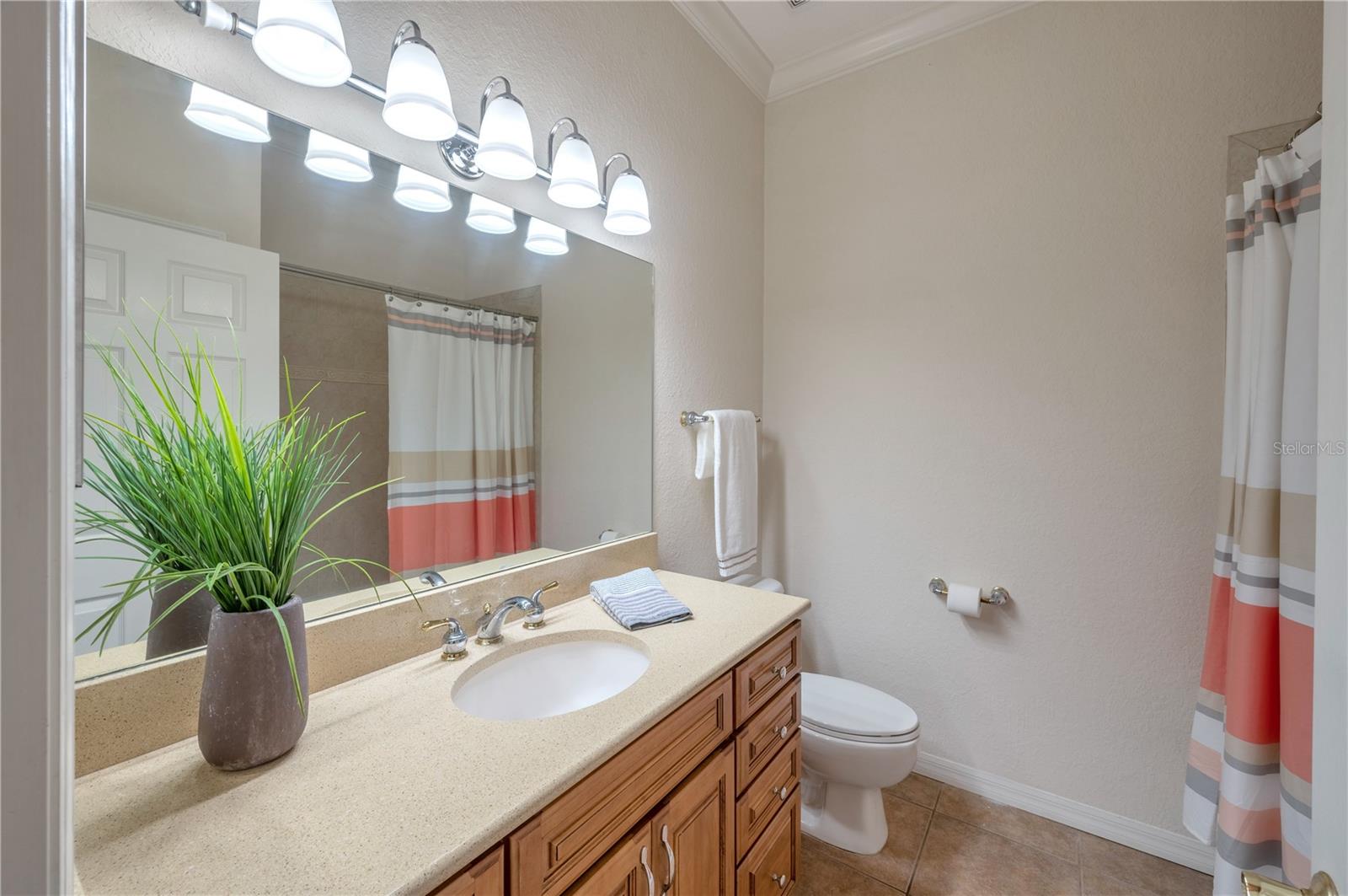 9719 TAYLOR ROSE LN, SEMINOLE, FL, 33777