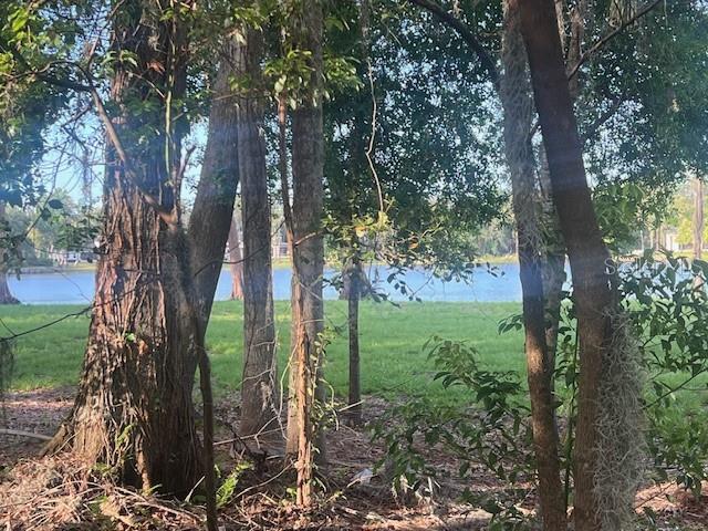 16406 LAKE BYRD DR, TAMPA, FL, 33618