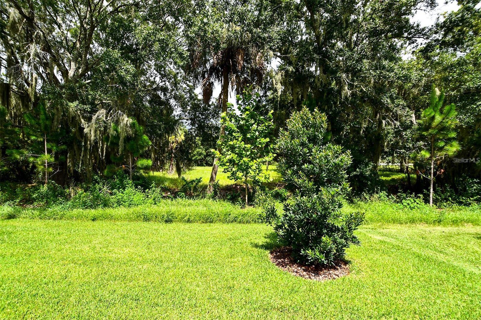 8126 TRIMBELLE TER, PARRISH, FL, 34219