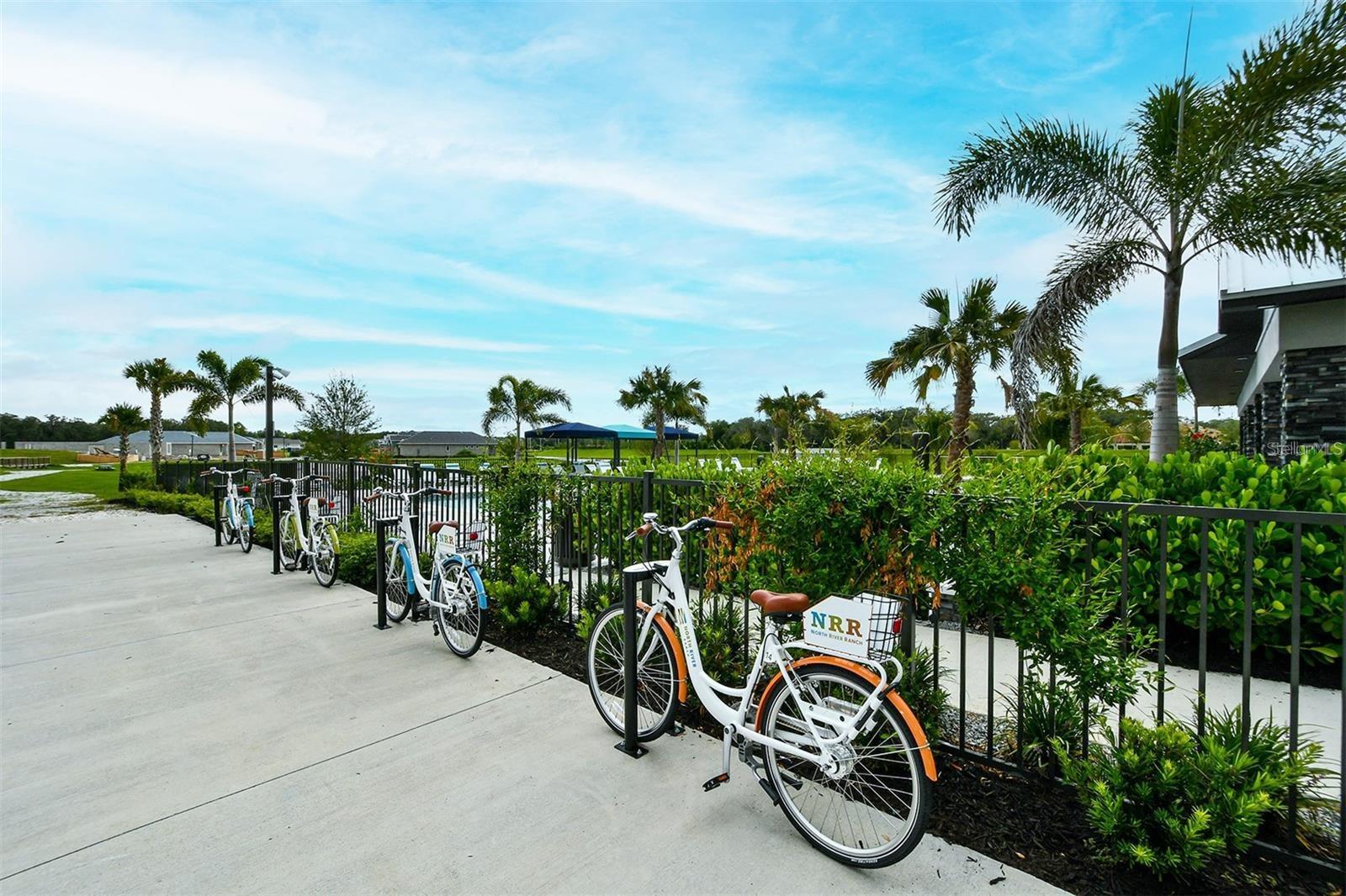 8126 TRIMBELLE TER, PARRISH, FL, 34219