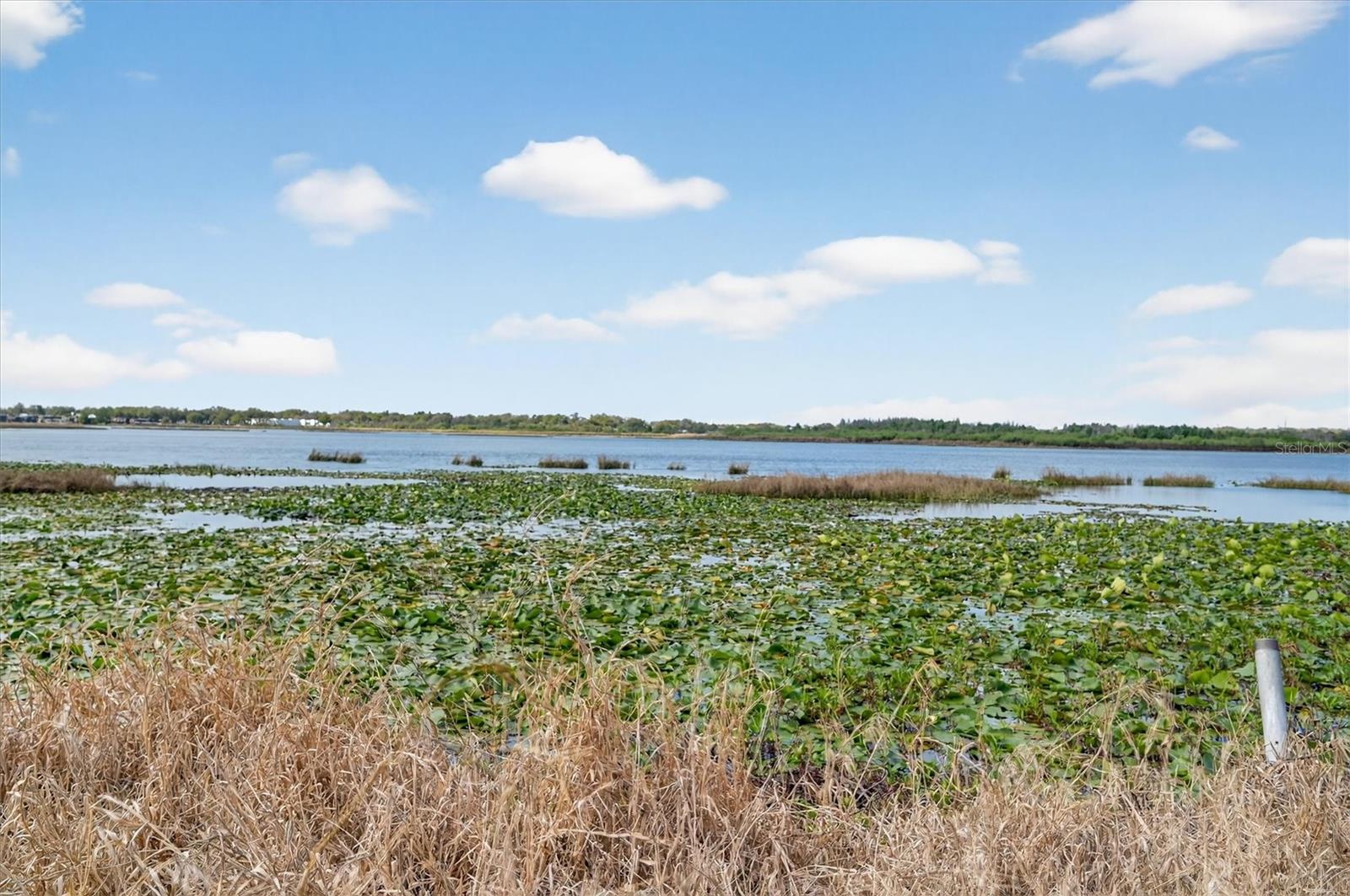 429 LONGFELLOW BLVD, LAKELAND, FL, 33801