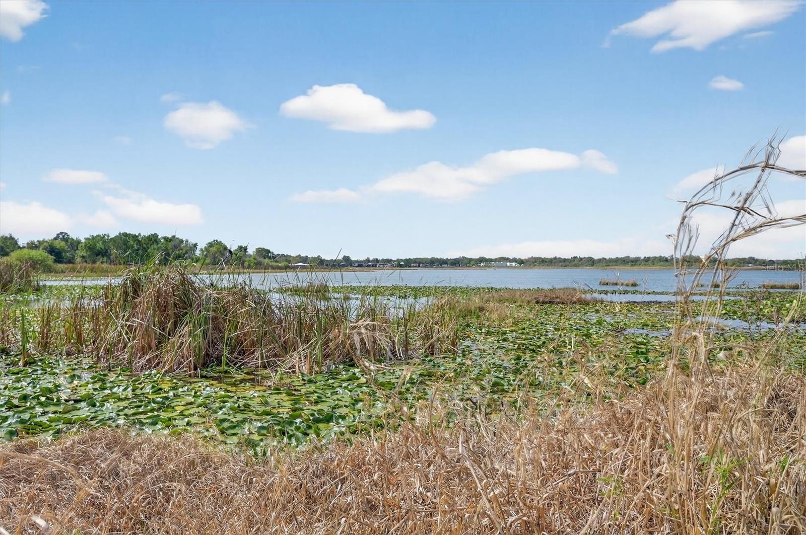 429 LONGFELLOW BLVD, LAKELAND, FL, 33801