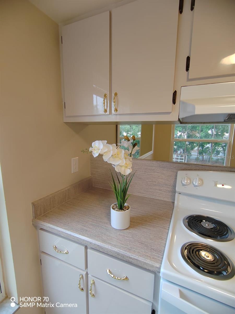 1044 82ND TER N #1044C, ST PETERSBURG, FL, 33702