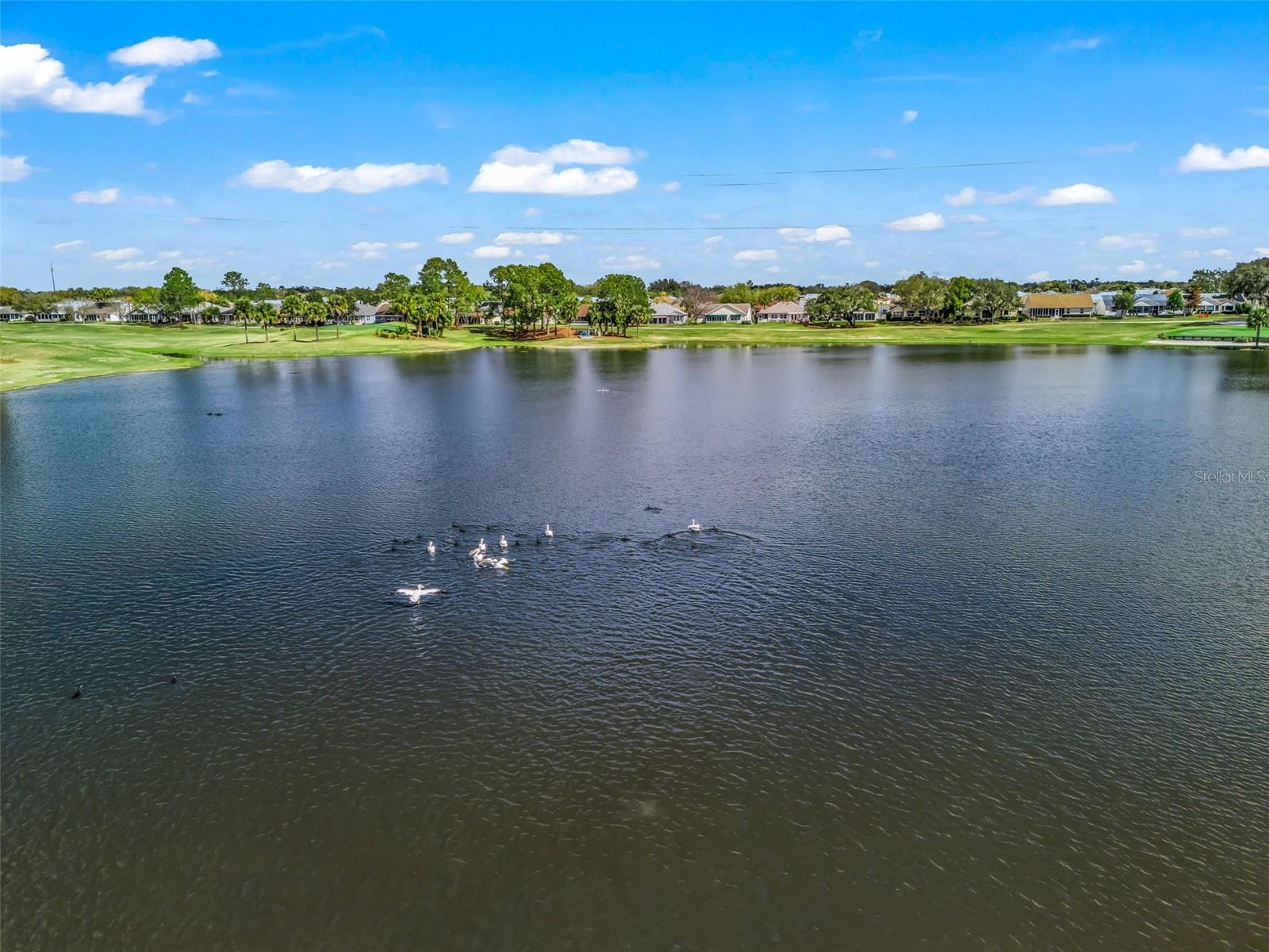 1311 CAROLINA CT, THE VILLAGES, FL, 32162