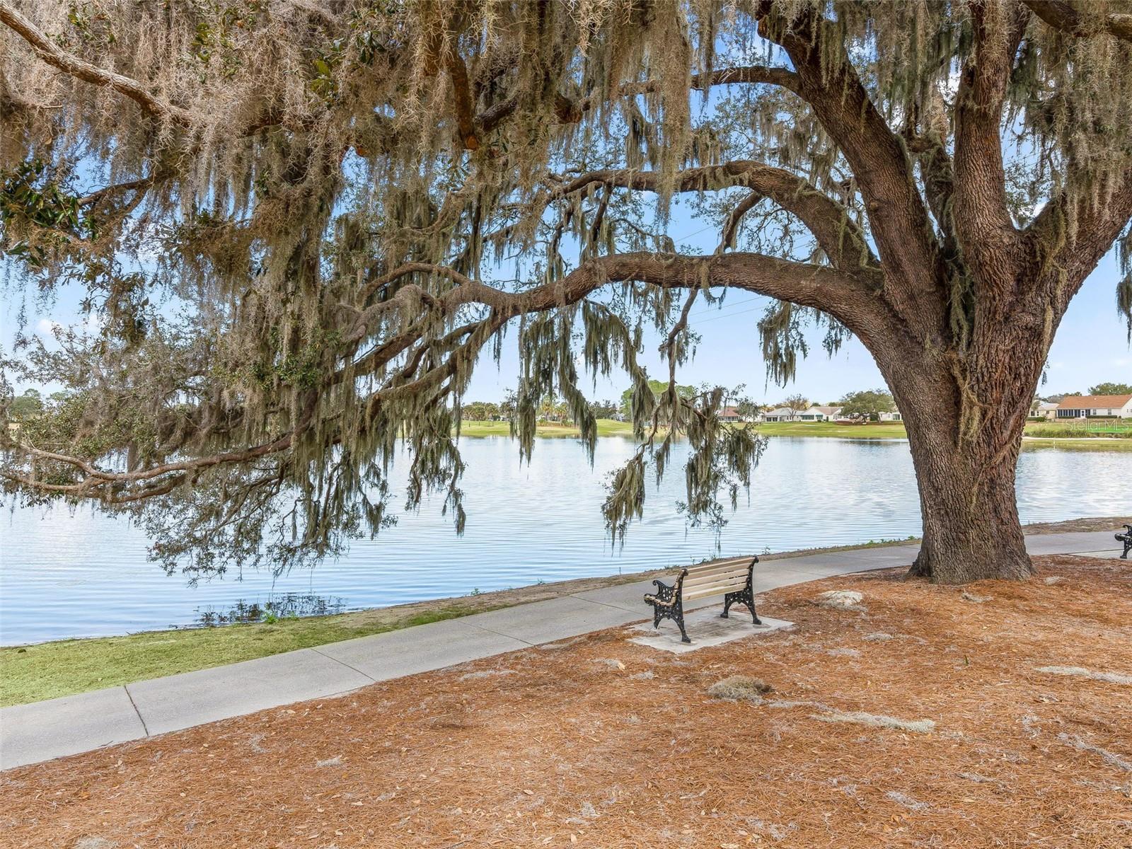 1311 CAROLINA CT, THE VILLAGES, FL, 32162