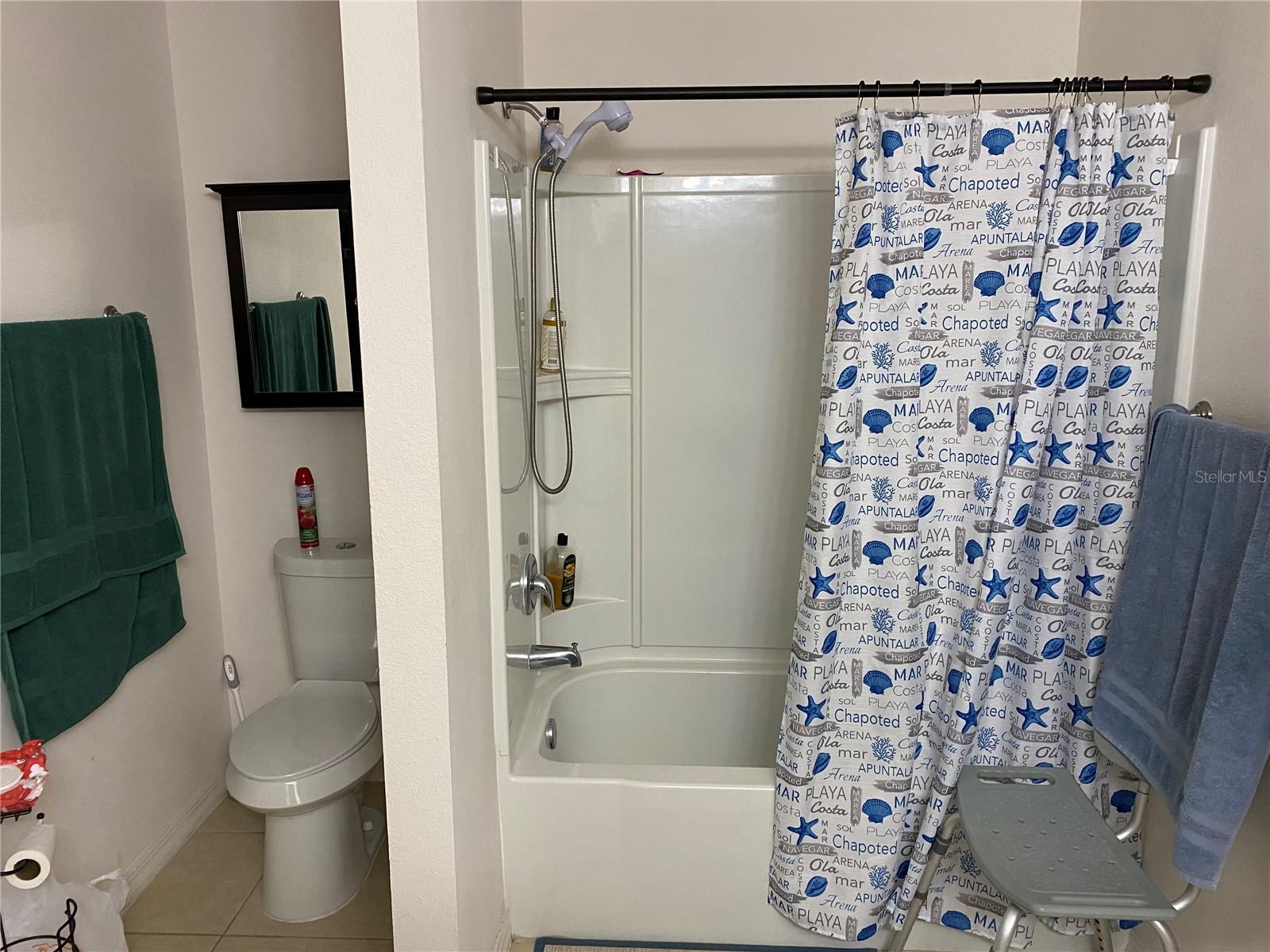 1919 AMBER SWEET CIR, DUNDEE, FL, 33838