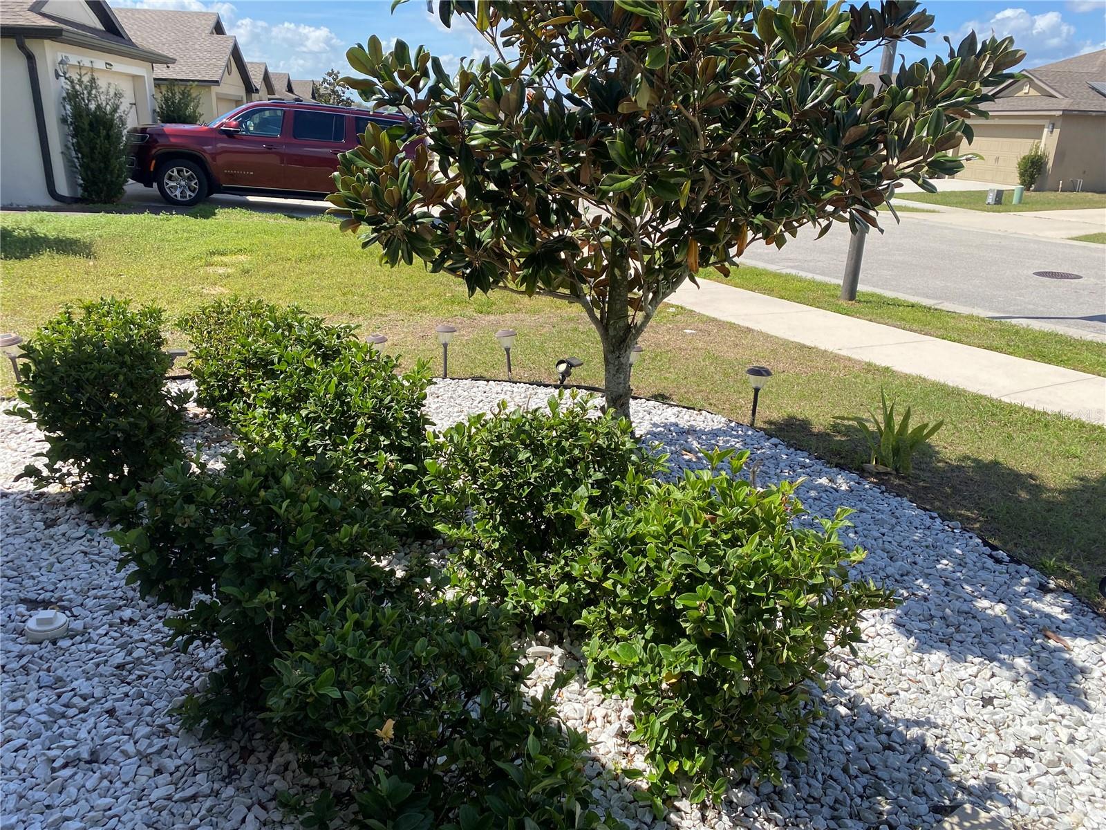 1919 AMBER SWEET CIR, DUNDEE, FL, 33838