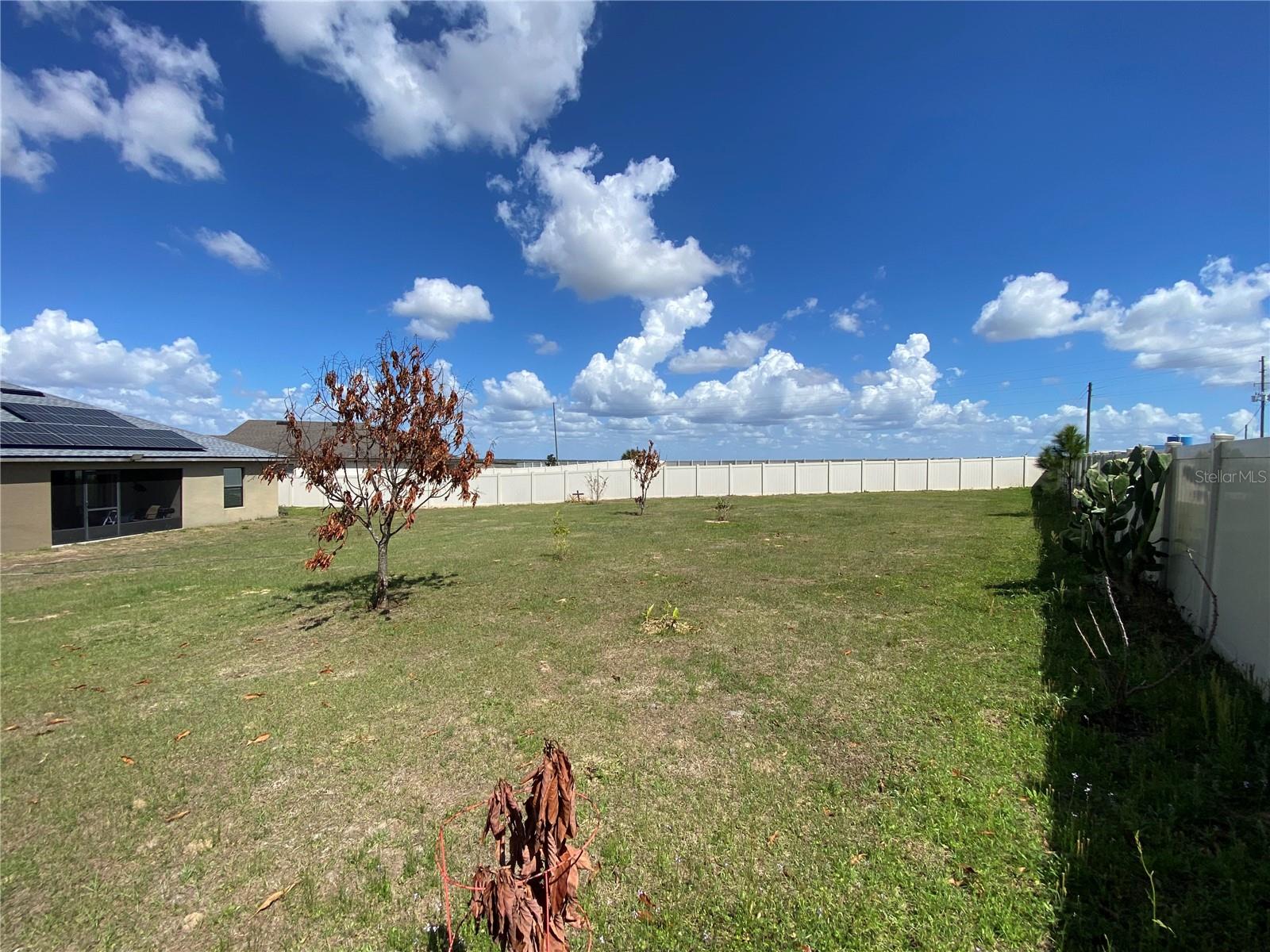 1919 AMBER SWEET CIR, DUNDEE, FL, 33838