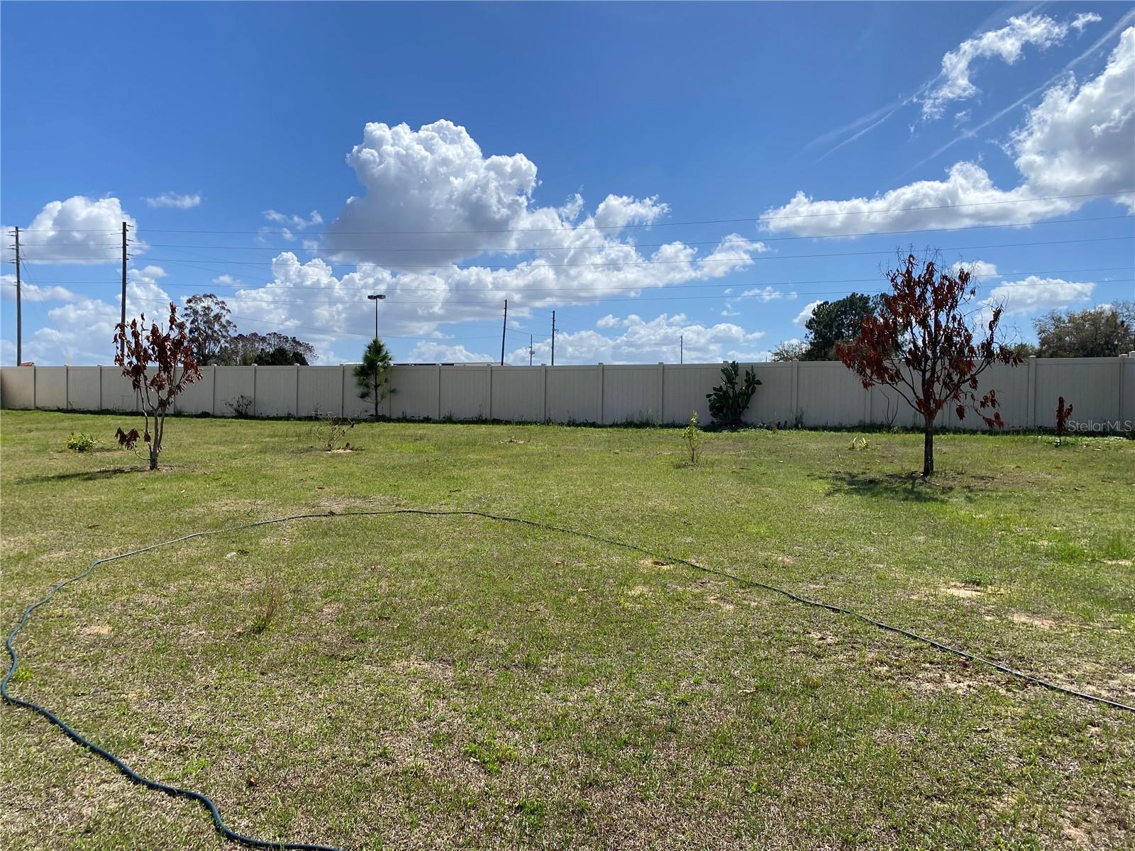 1919 AMBER SWEET CIR, DUNDEE, FL, 33838