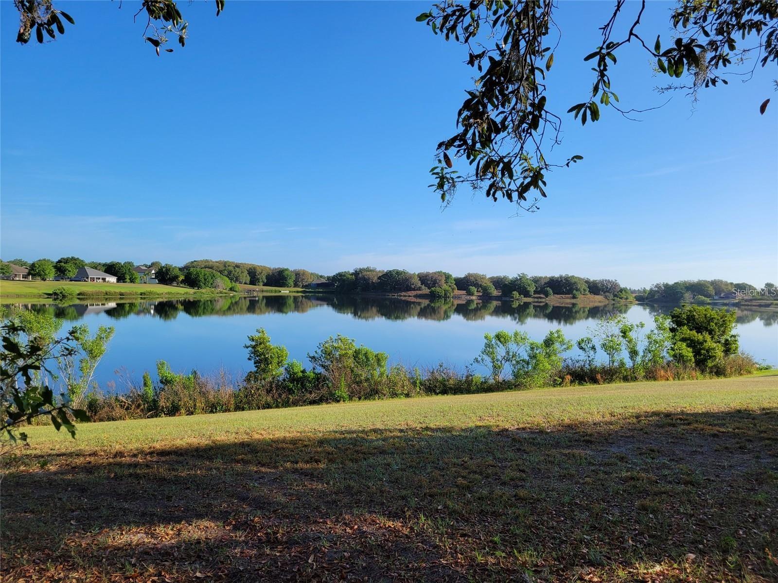 36717 BARRINGTON DR, EUSTIS, FL, 32736