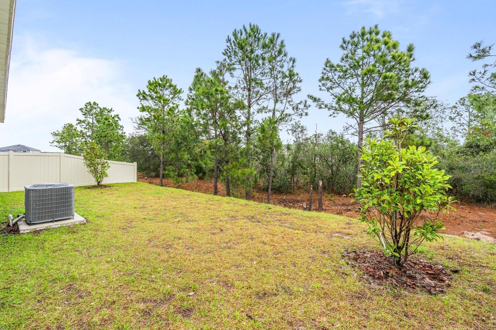 3406 SANCTUARY DR, CLERMONT, FL, 34714