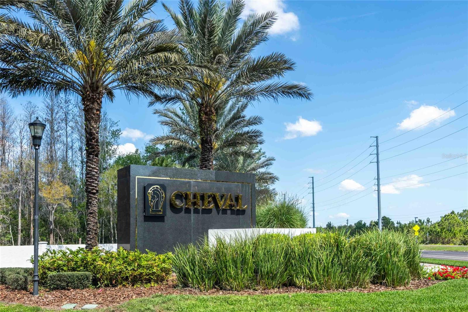 18724 WIMBLEDON CIR, LUTZ, FL, 33558