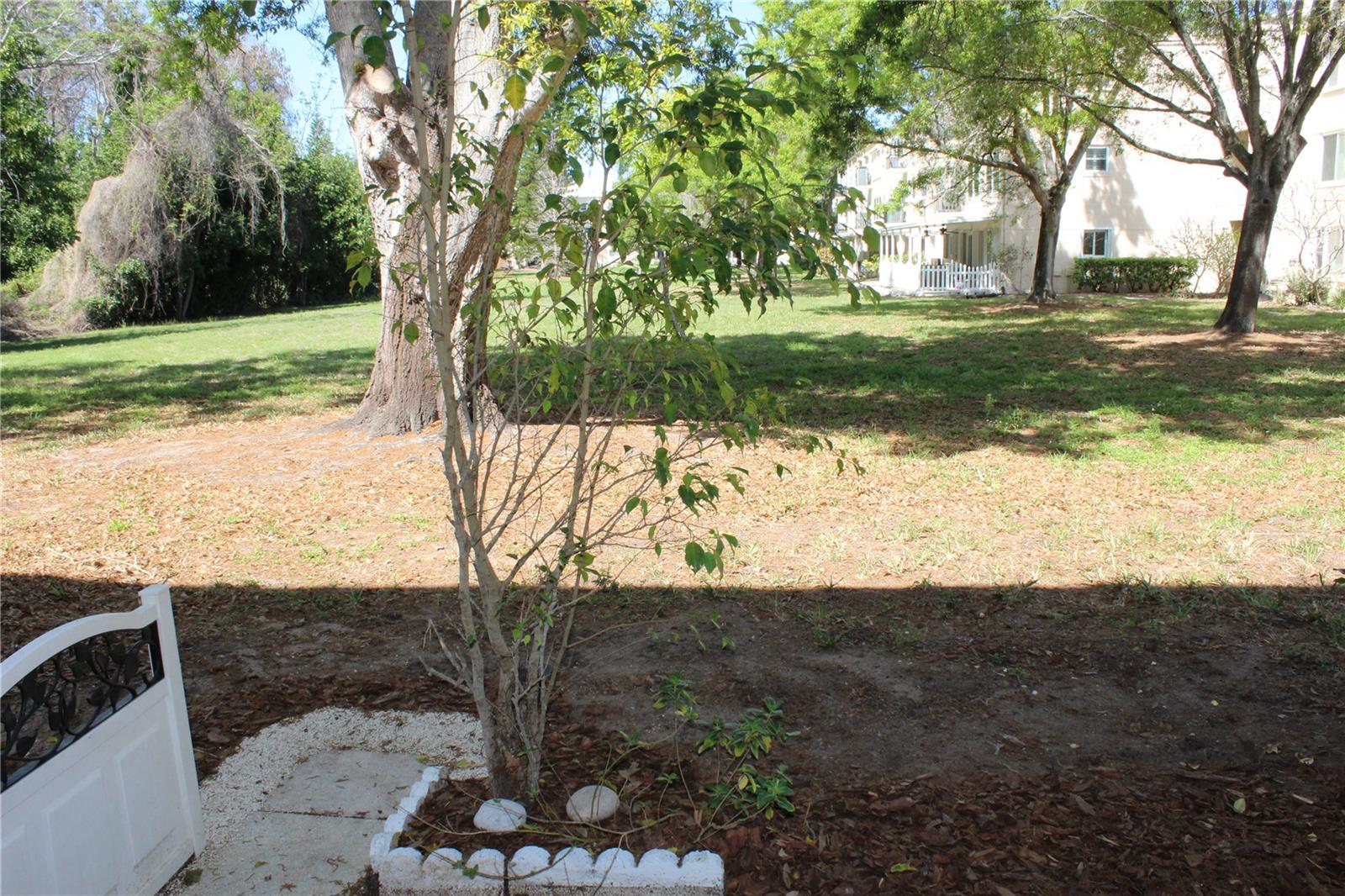 2170 AMERICUS BLVD S #4, CLEARWATER, FL, 33763