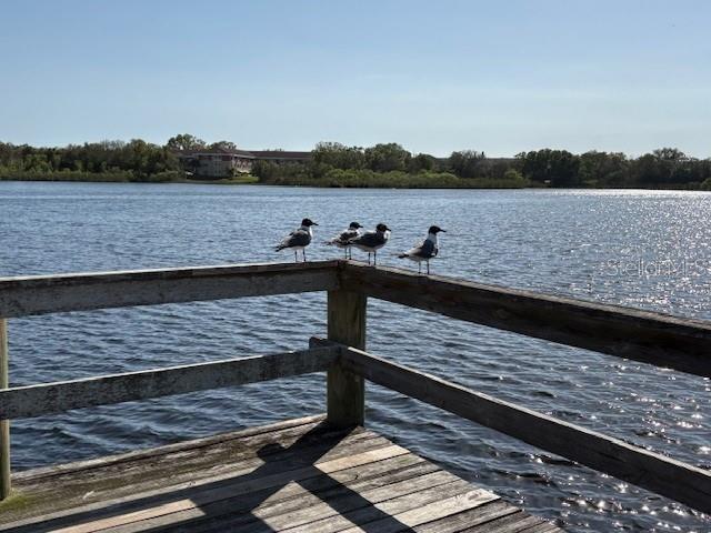 2170 AMERICUS BLVD S #4, CLEARWATER, FL, 33763