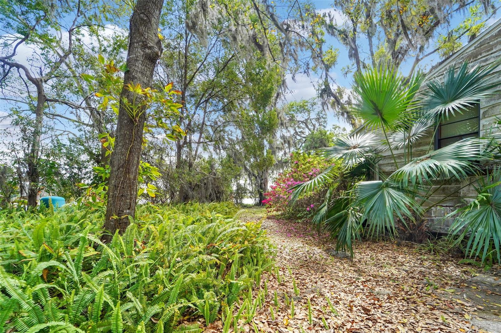 18709 WAYNE RD, ODESSA, FL, 33556