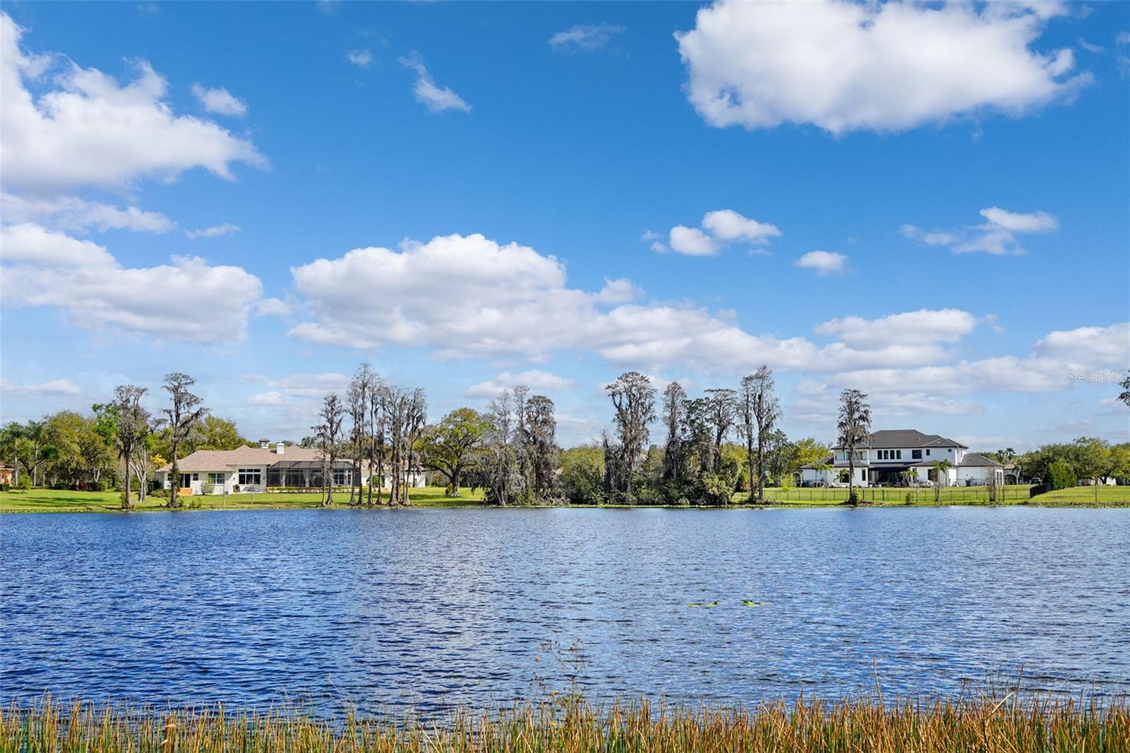 18709 WAYNE RD, ODESSA, FL, 33556