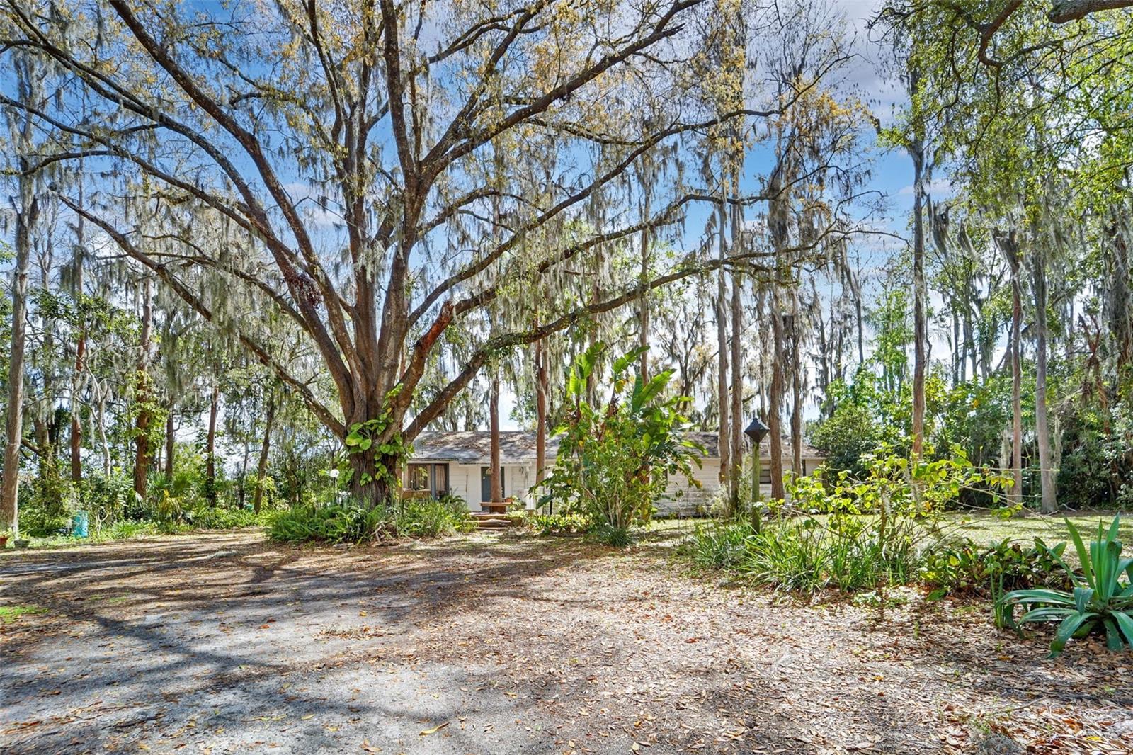 18709 WAYNE RD, ODESSA, FL, 33556
