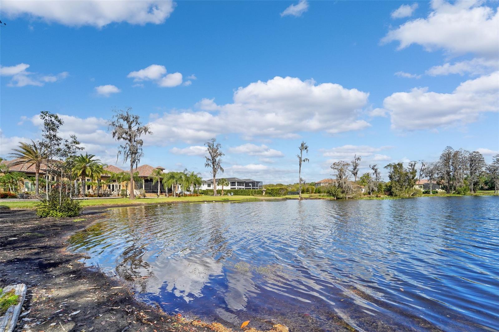 18709 WAYNE RD, ODESSA, FL, 33556