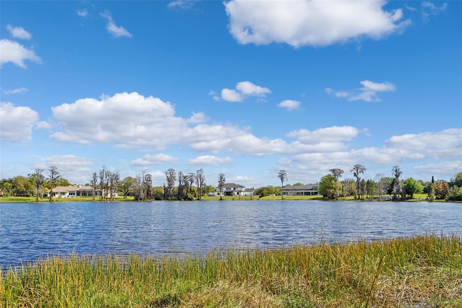 18709 WAYNE RD, ODESSA, FL, 33556