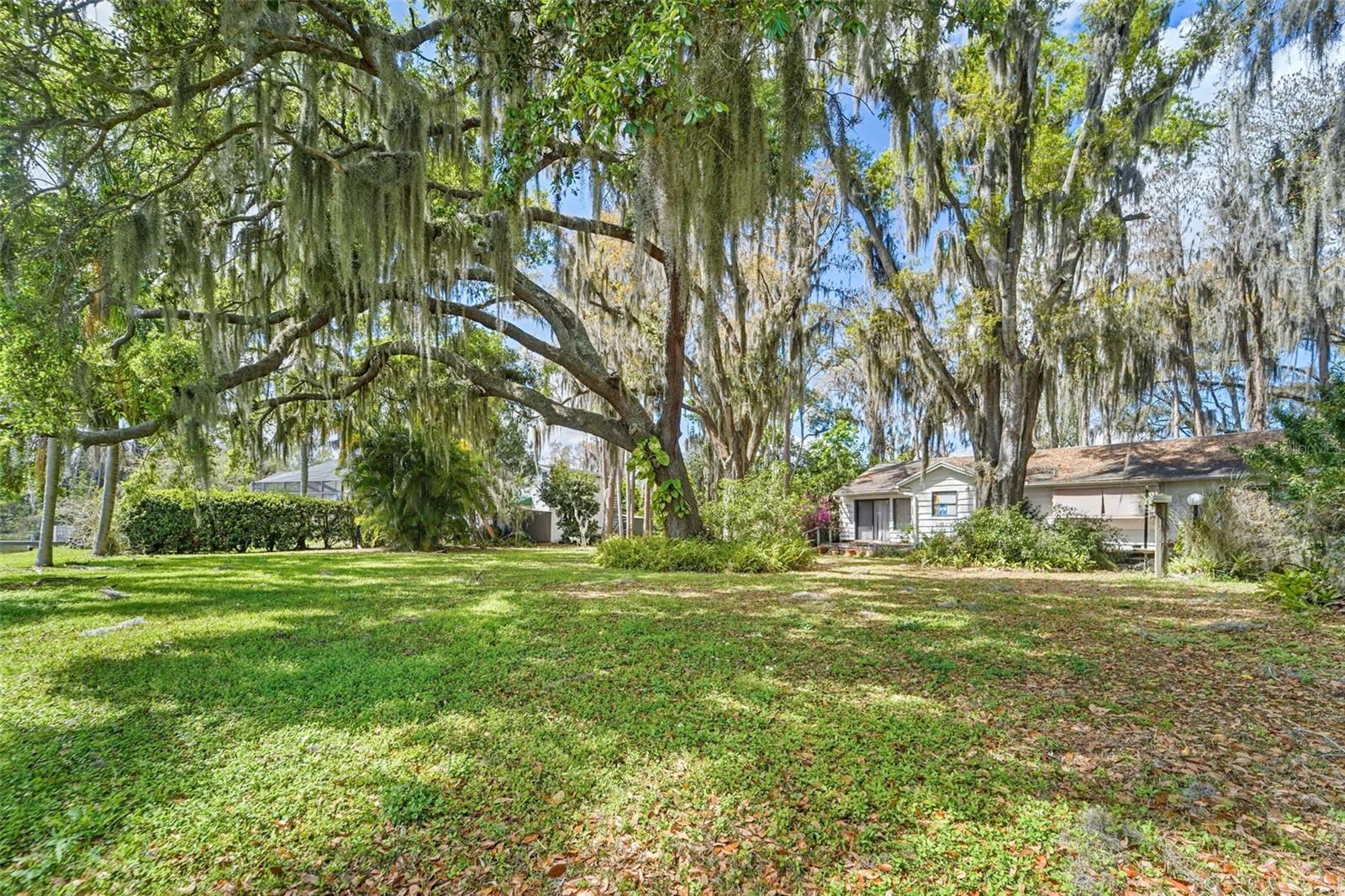 18709 WAYNE RD, ODESSA, FL, 33556