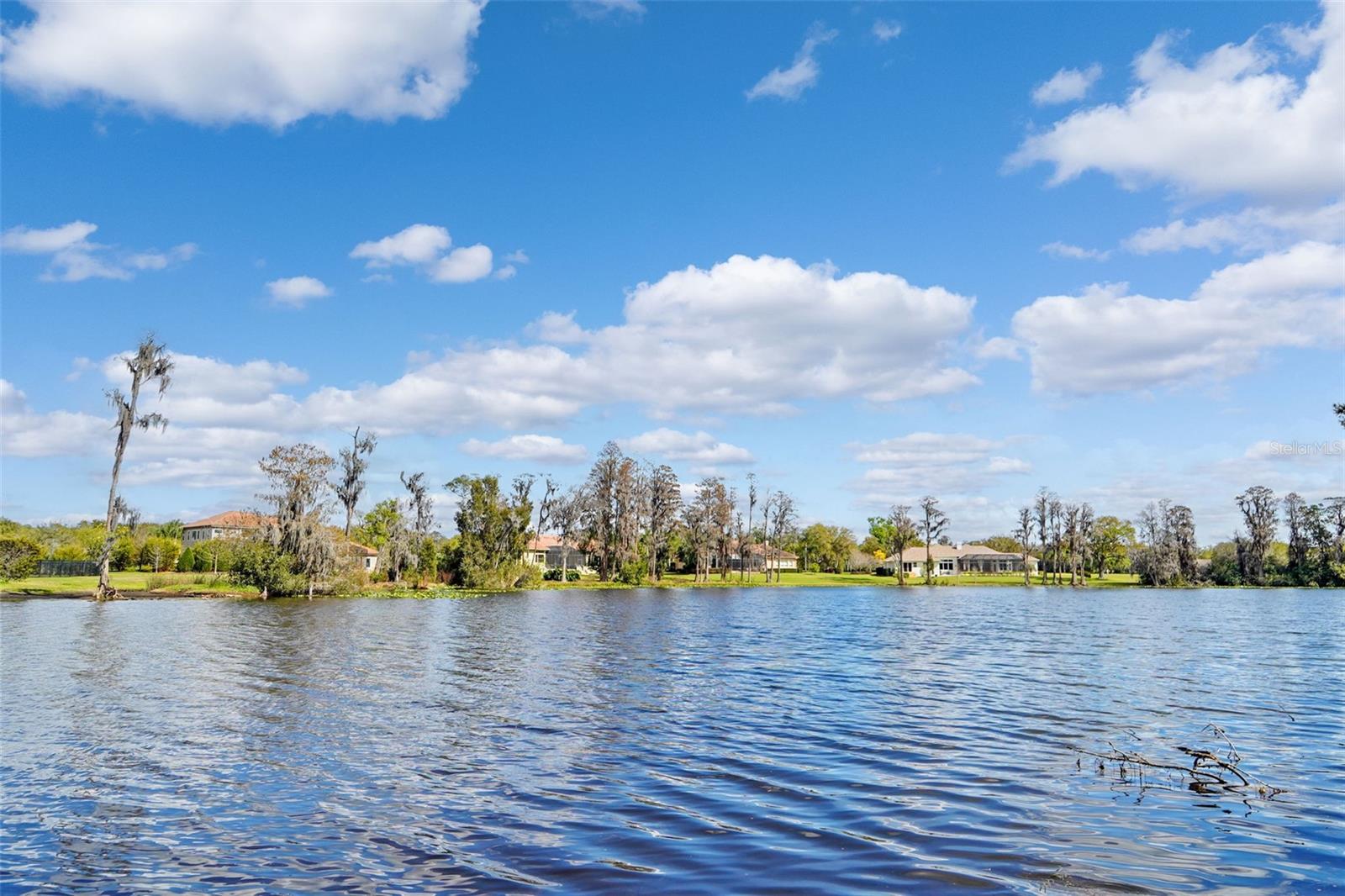 18709 WAYNE RD, ODESSA, FL, 33556