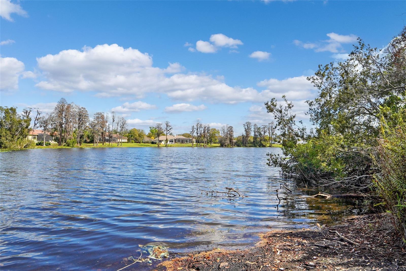 18709 WAYNE RD, ODESSA, FL, 33556