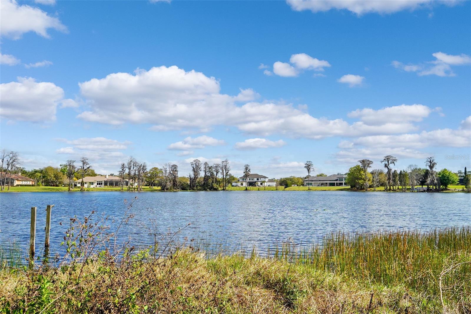 18709 WAYNE RD, ODESSA, FL, 33556