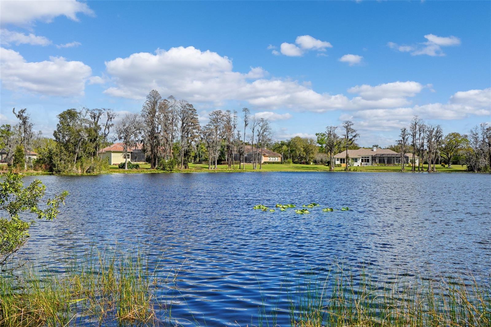 18709 WAYNE RD, ODESSA, FL, 33556