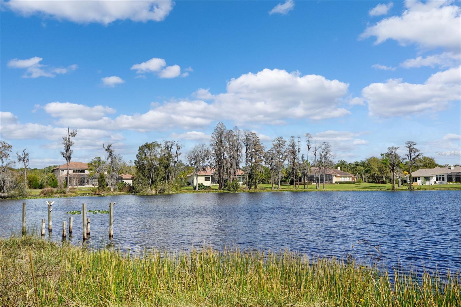 18709 WAYNE RD, ODESSA, FL, 33556