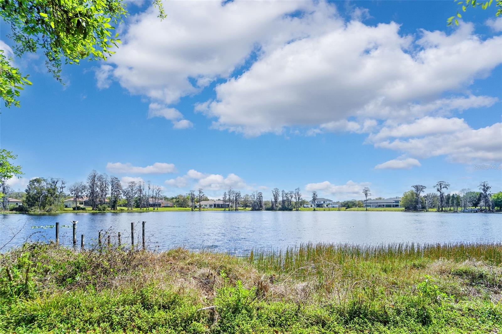 18709 WAYNE RD, ODESSA, FL, 33556