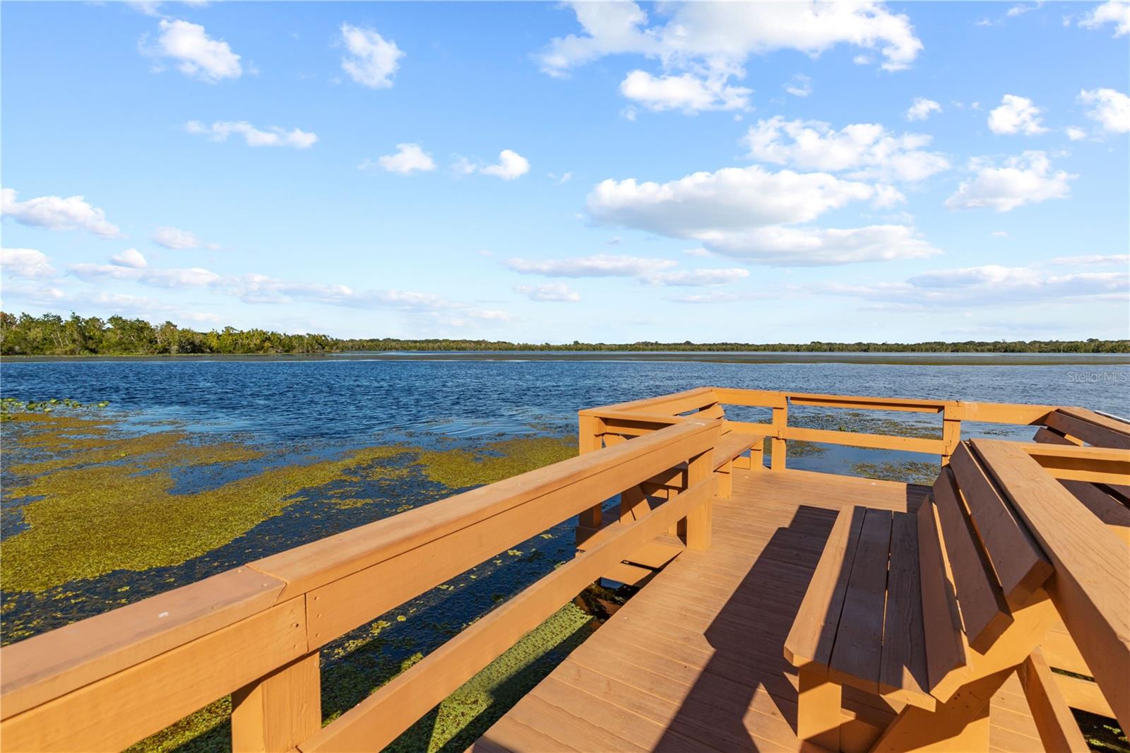 5 GALLINULE CT, FRUITLAND PARK, FL, 34731
