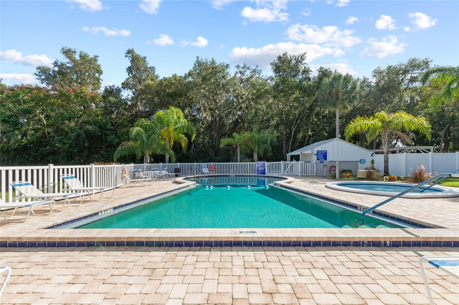 5 GALLINULE CT, FRUITLAND PARK, FL, 34731