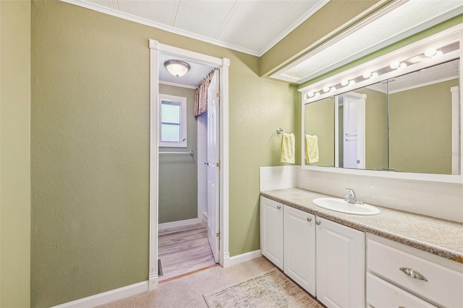 5 GALLINULE CT, FRUITLAND PARK, FL, 34731