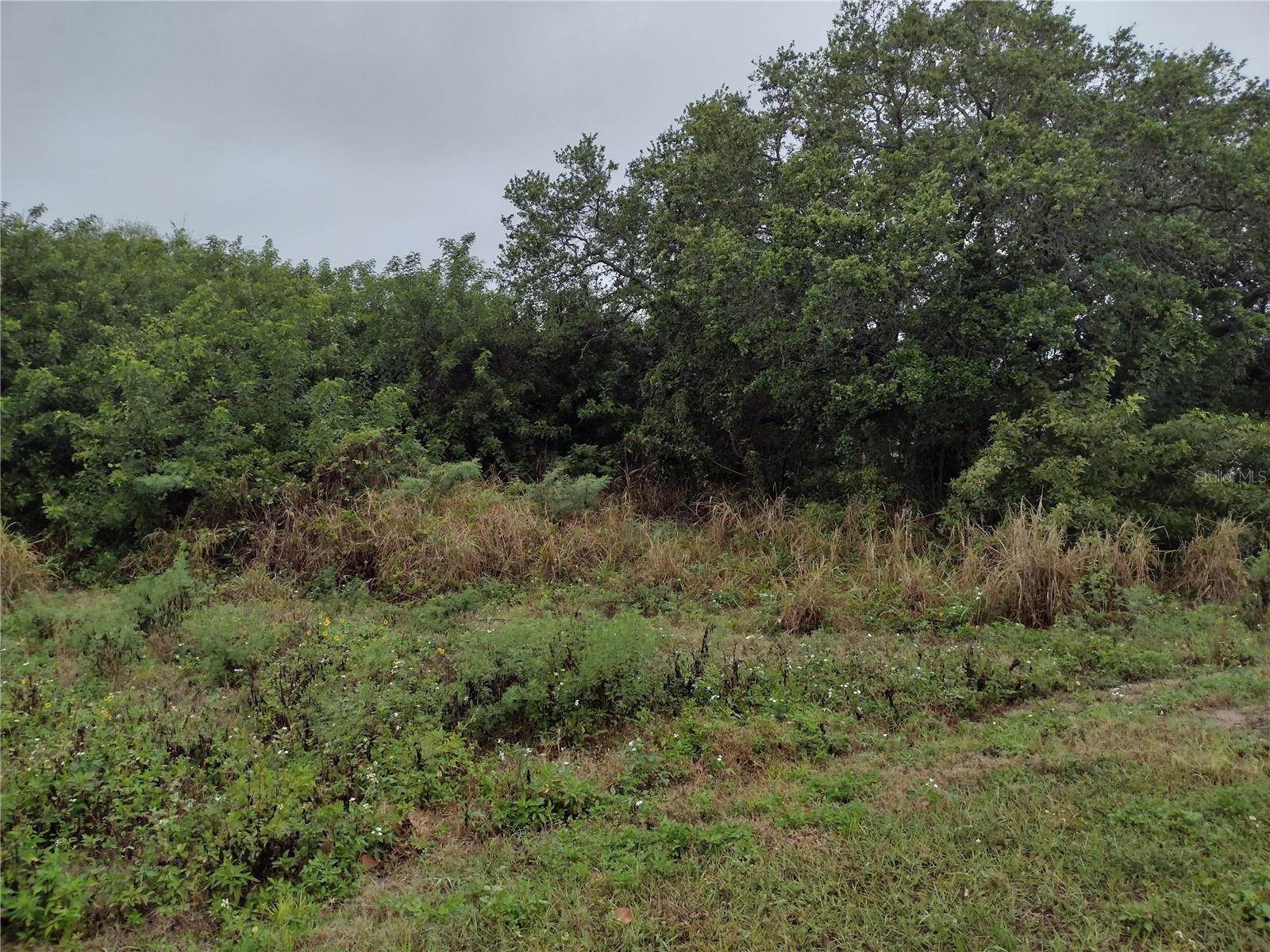 000 N ATLANTIC AVE, COCOA BEACH, FL, 32931