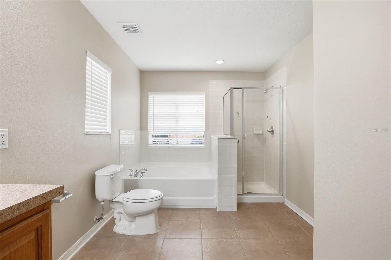 11125 RUNNING PINE DR, RIVERVIEW, FL, 33569