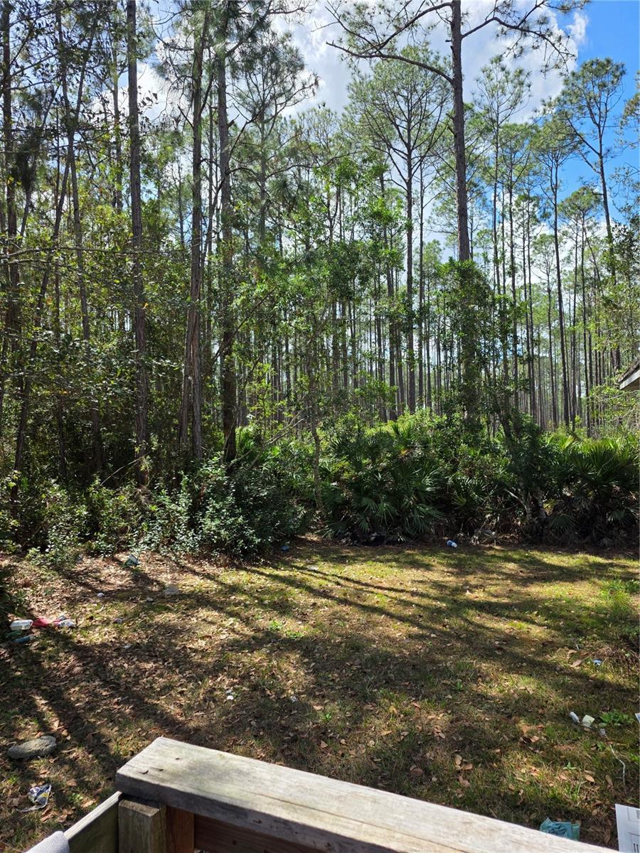 24326 MAXWELL, ASTOR, FL, 32102