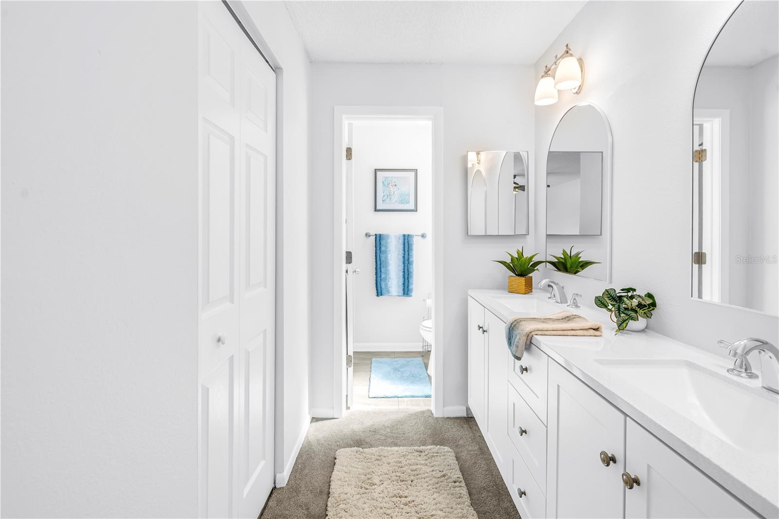 1666 MONTEREY DR, CLEARWATER, FL, 33756
